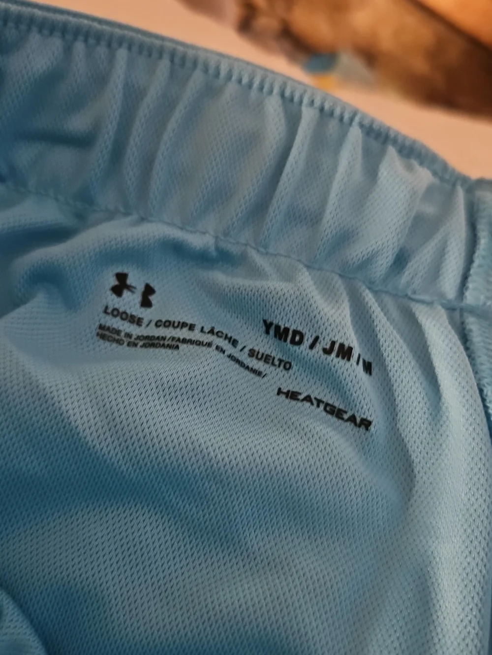 Under Armour Sky Blue Performance  Shorts